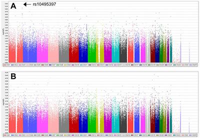 Genomic Association Study for Cognitive Impairment in Parkinson's Disease